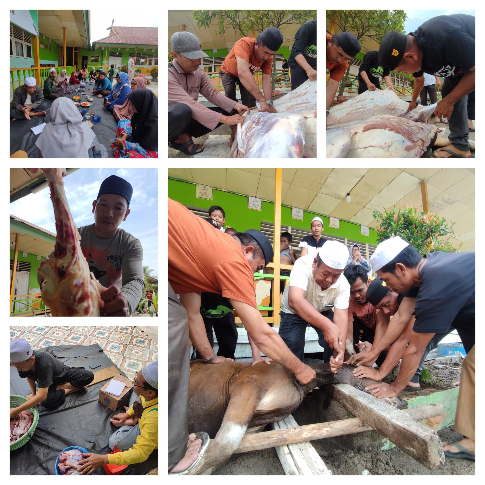 Agenda Tahunan MIN 1 TJB, Sembelih Hewan Kurban di Madrasah Agenda Tahunan MIN 1 TJB, Sembelih Hewan Kurban di Madrasah